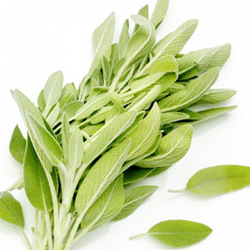 Sage | California