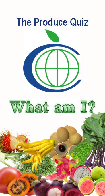 quiz